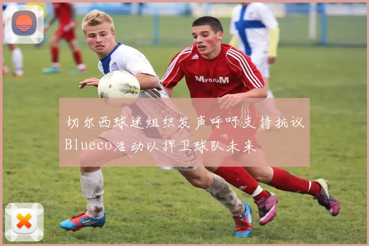 切尔西球迷组织发声呼吁支持抗议Blueco活动以捍卫球队未来